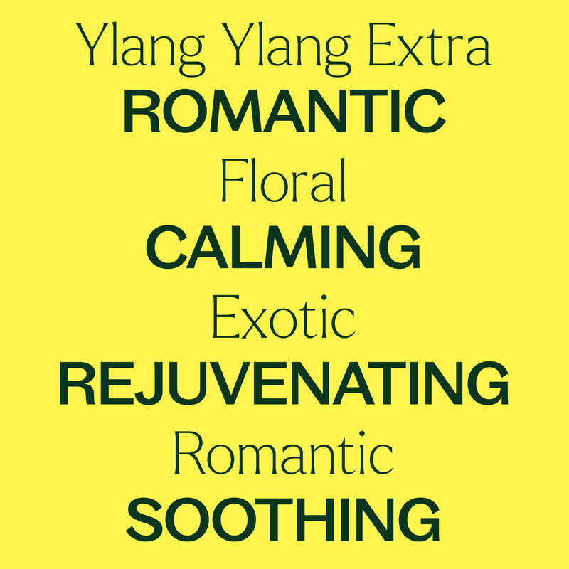 Plant Therapy Ylang Ylang Extra Essential Oil Essential Oil
