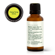 Plant Therapy Ylang Ylang Extra Essential Oil Essential Oil