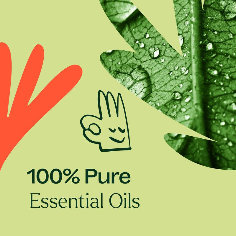 Plant Therapy Zit Fighter Essential Oil Blend Essential Oil