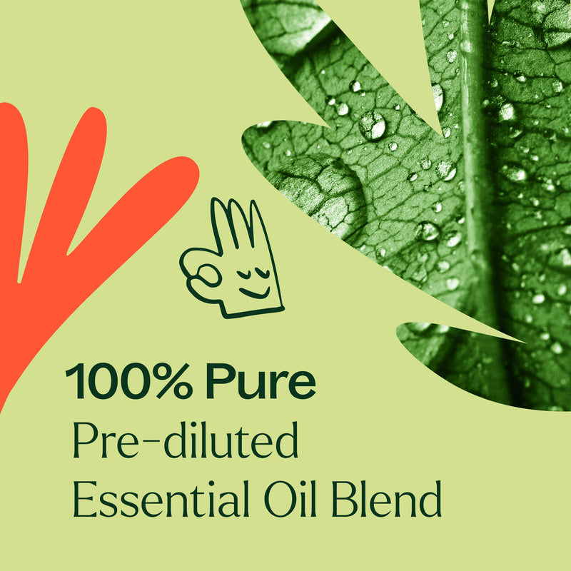 Plant Therapy Zit Fighter Essential Oil Blend Pre-Diluted Roll-On Essential Oil