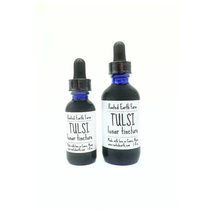 Tulsi Tincture