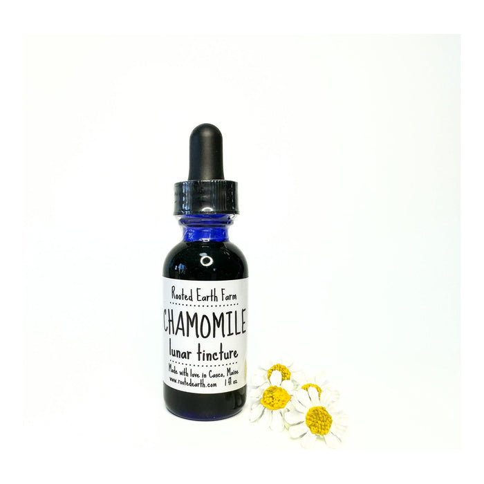 Chamomile Tincture