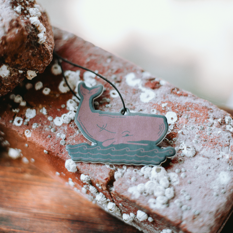 Good & Well Supply Co Acadia National Park Air Freshener Vehicle Air Fresheners