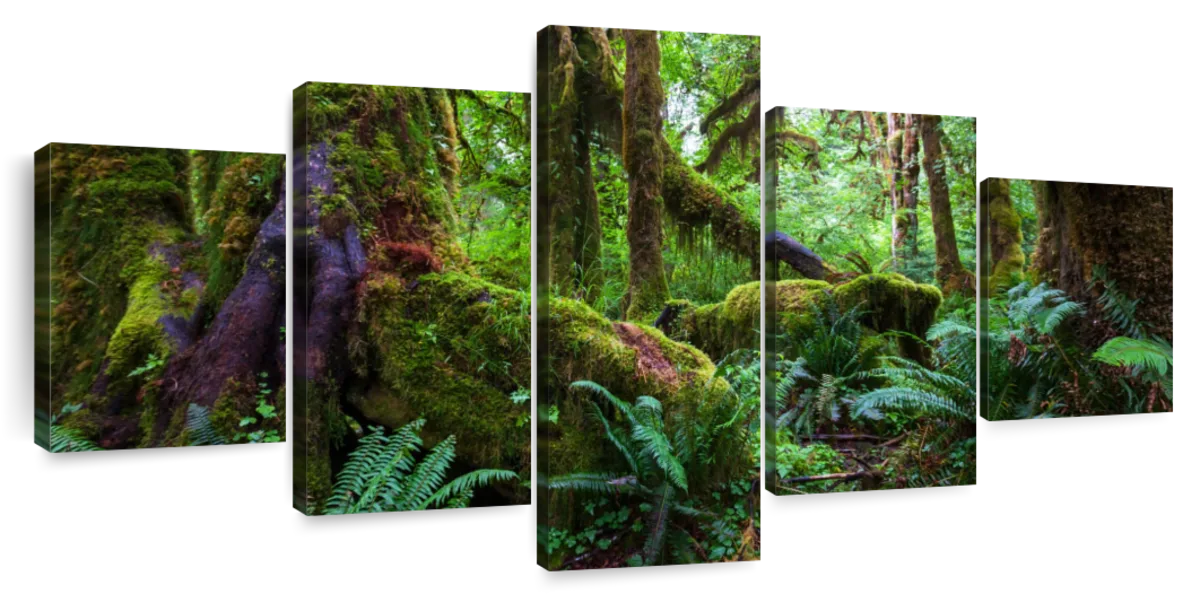 Mossy Rainforest Wall Art