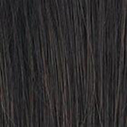 VIP Extensions Alpha Wave 16" - Top Piece by Raquel Welch RW Transformation