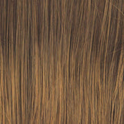 VIP Extensions Alpha Wave 16" - Top Piece by Raquel Welch RW Transformation