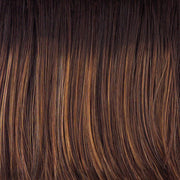 VIP Extensions Alpha Wave 16" - Top Piece by Raquel Welch RW Transformation