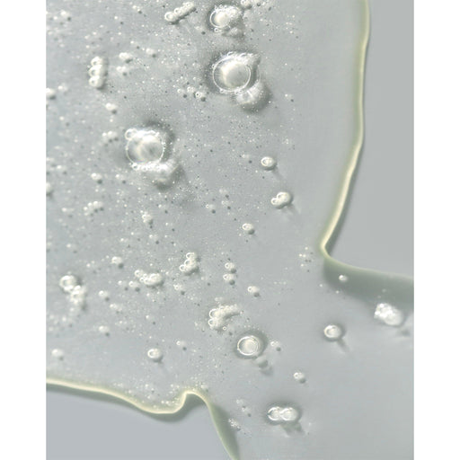 Protocol Skincare Double Alpha Hydroxy Gel Cleanser with Green Tea