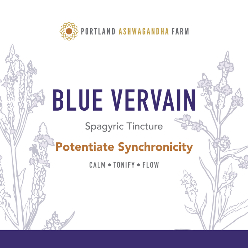 Portland Ashwagandha Farm Blue Vervain - Fresh Spagyric Tincture Tincture