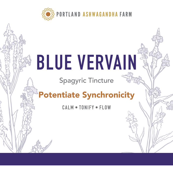 Portland Ashwagandha Farm - Blue Vervain - Fresh Spagyric Tincture