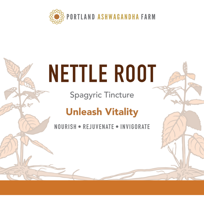 Portland Ashwagandha Farm - Nettle Root - Spagyric Tincture