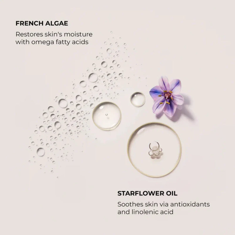 Nava Beauty Laura Mercier Ambre Vanille Serum Body Cream 200 mL Bath &amp; Body Antique White