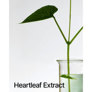 AsiaBeautyMall ANUA Heartleaf 80% Moisture Soothing Ampoule Serum