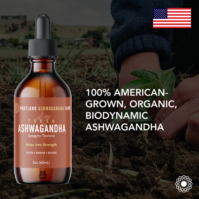 Portland Ashwagandha Farm Ashwagandha Fresh Spagyric Tincture – Pacific Northwest Grown Tincture