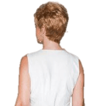 VIP Extensions Aspire by Gabor Gabor Wigs