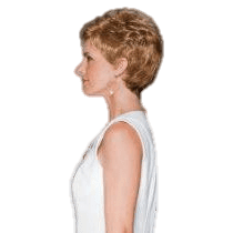 VIP Extensions Aspire by Gabor Gabor Wigs