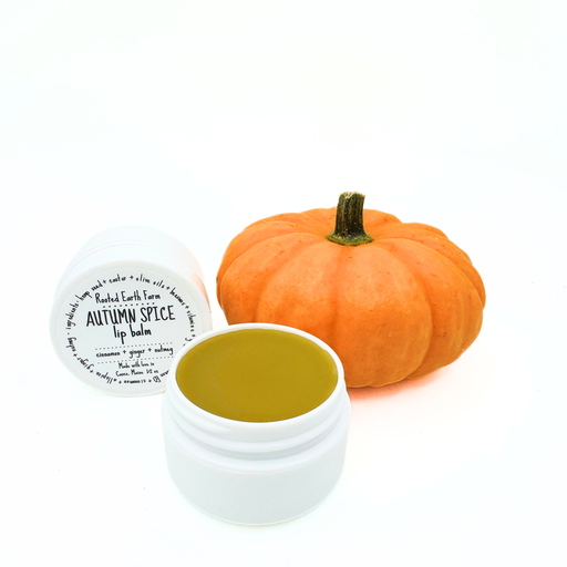 Rooted Earth Farm + Apothecary Autumn Spice Lip Balm Lip Balms + Tints