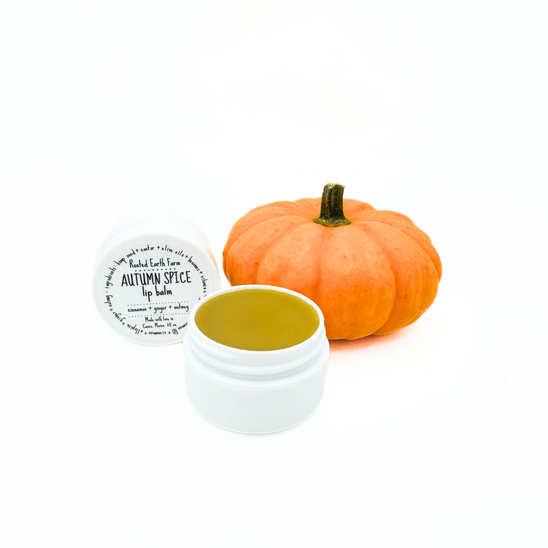 Rooted Earth Farm + Apothecary Autumn Spice Lip Balm Lip Balms + Tints