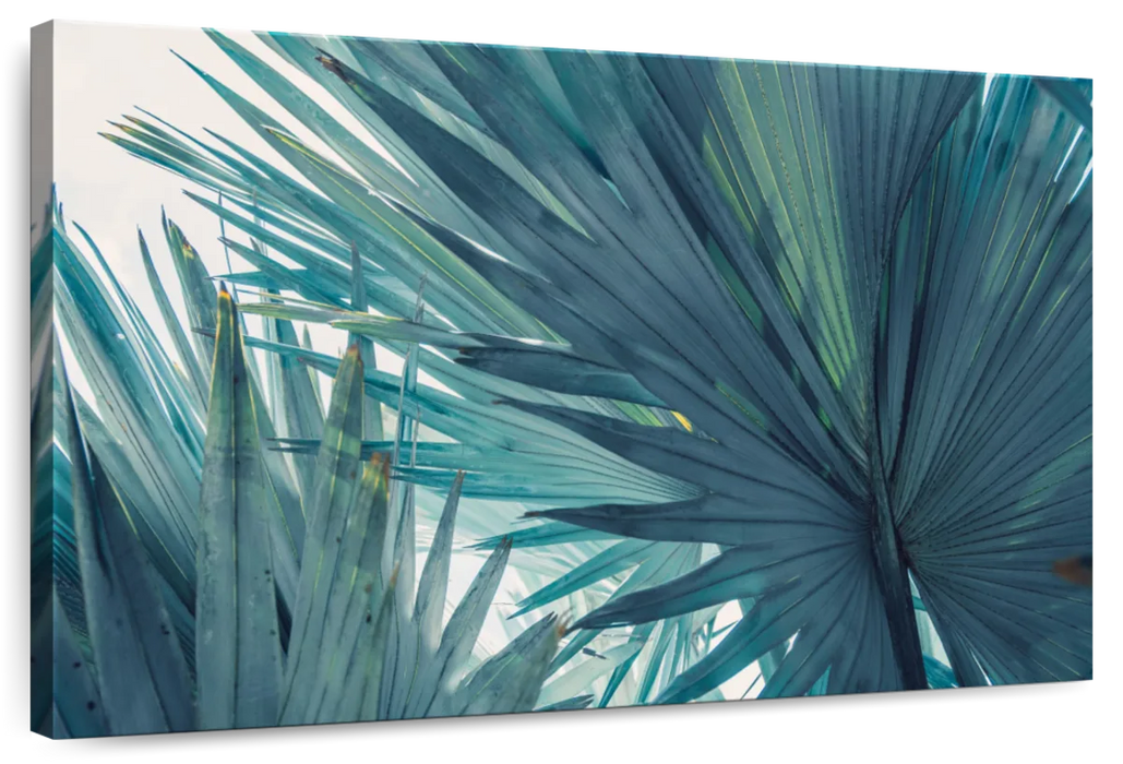 Bushy Palm Leaves Wall Art