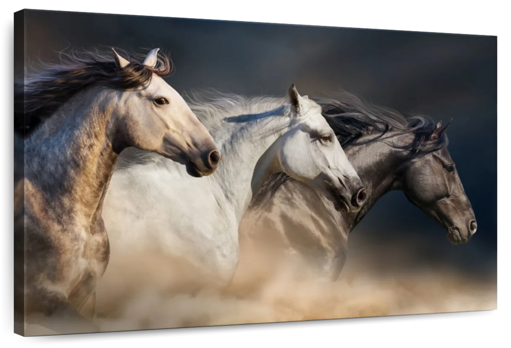 Magnificent Horses Wall Art