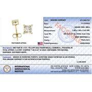 Bids.com 14K Yellow Gold 5/8 Cttw Princess Natural Brown Color Diamond 4-Prong Stud Earrings (Brown Color, VS2-SI1 Clarity) Earrings