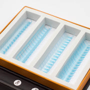 Mega Lash Academy Baby Blue 5D Rapid Promade Fans - 600 Fans Promade Fans