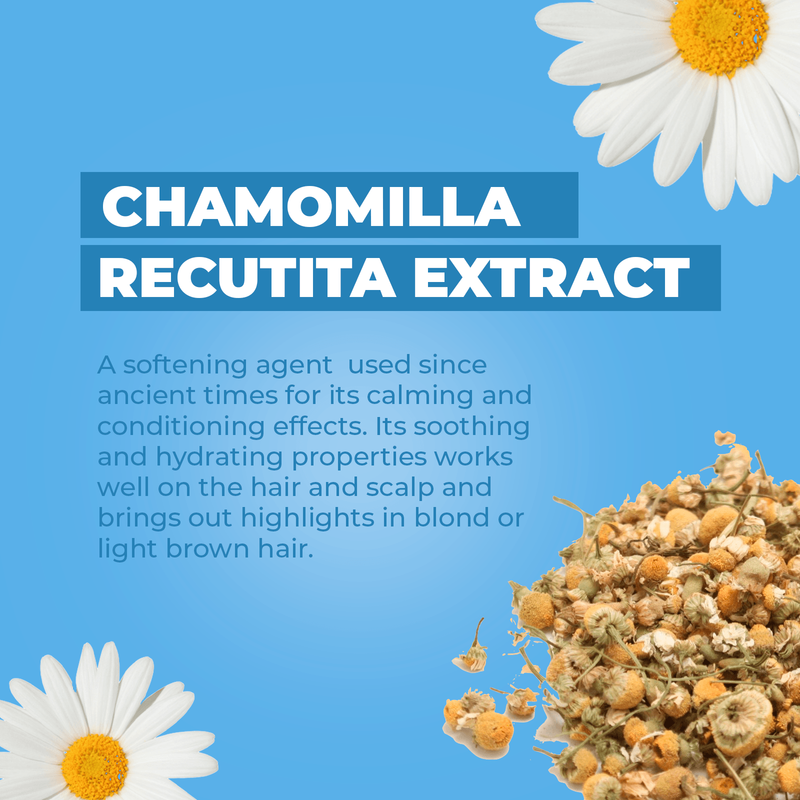 Baby Jolie Paris Baby Shampoo | 7.5oz (221ml) Baby Care > Baby Shampoo > Shampoo for Babies > Toddler Shampoo