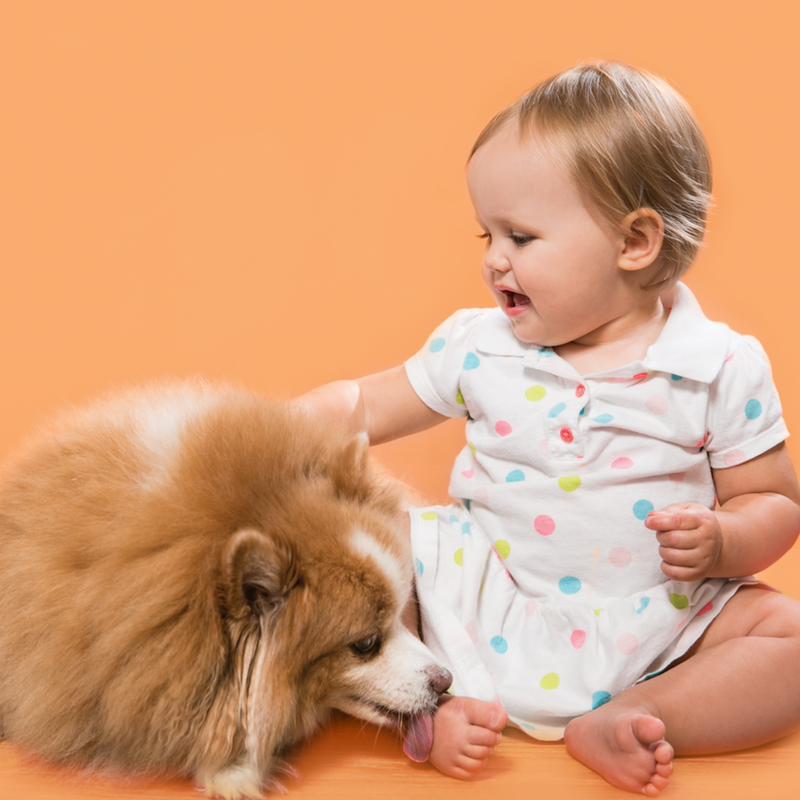 FATCO Skincare Products Baby Fat Bar, 4 Oz