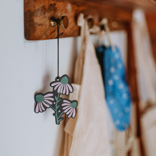 Good & Well Supply Co Badlands National Park Air Freshener Vehicle Air Fresheners