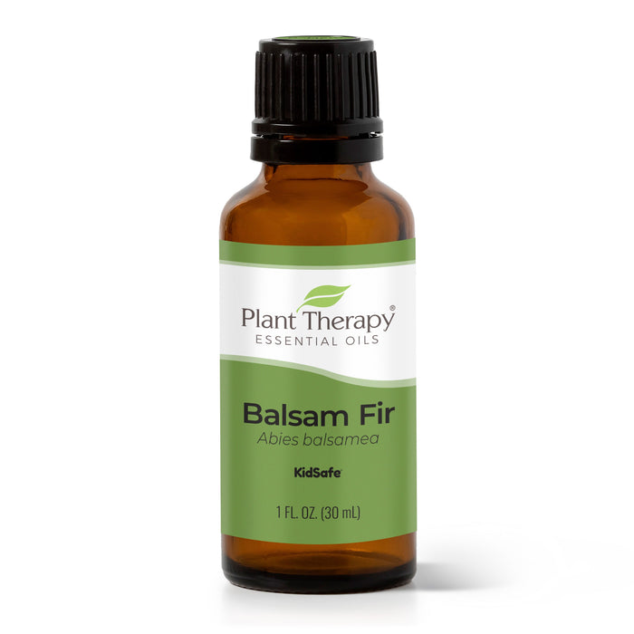 Plant Therapy - Plant Therapy - Balsam Fir Essential Oil