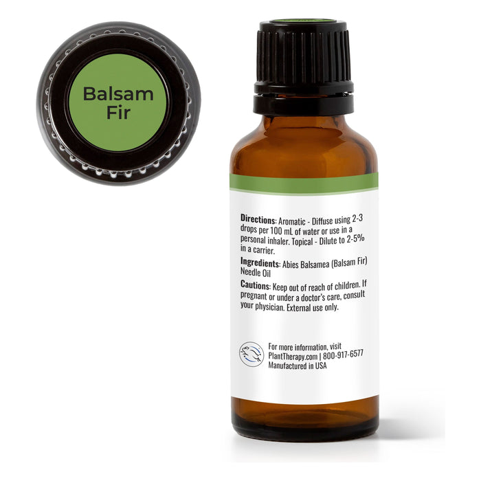 Plant Therapy - Plant Therapy - Balsam Fir Essential Oil