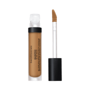 Nava Beauty bareMinerals BAREPRO 16HR All Over Skin-Perfecting Matte Concealer Mineral SPF 25 Black Medium 300 Warm