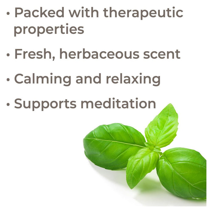 Plant Therapy - Plant Therapy - Basil Linalool Essential Oil