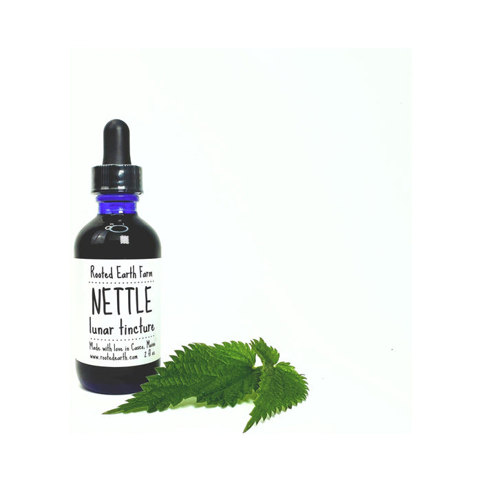 Rooted Earth Farm + Apothecary - Nettle Tincture 1oz - 2oz