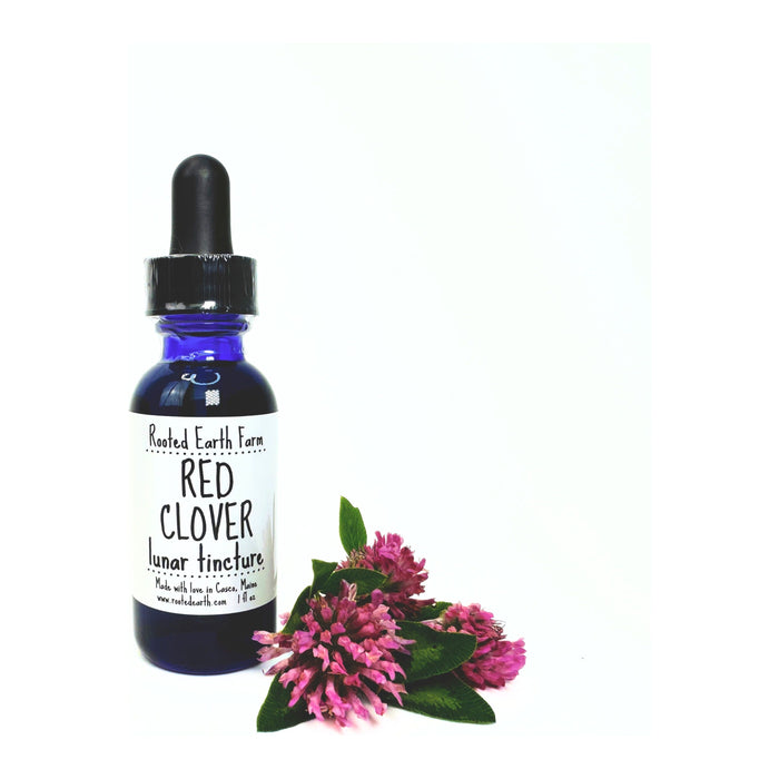 Rooted Earth Farm + Apothecary - Red Clover Tincture 1oz | 2oz