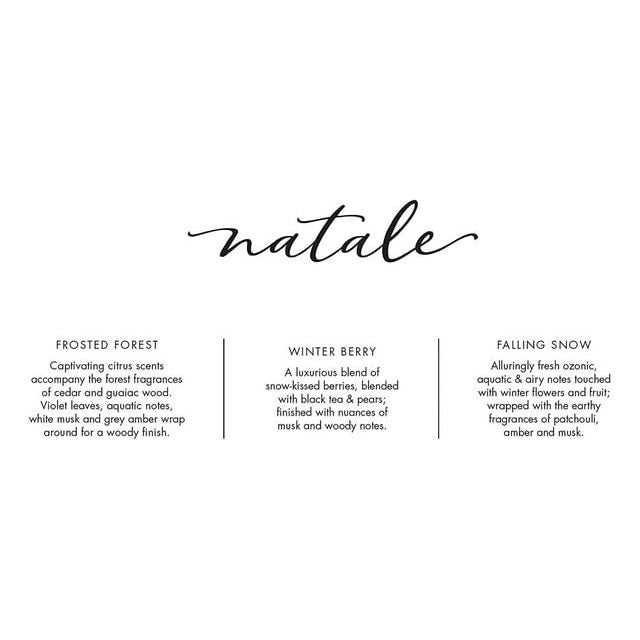 Via Mercato Via Mercato Frosted Forest Petite Reed Diffuser 1.3oz Reed Diffuser