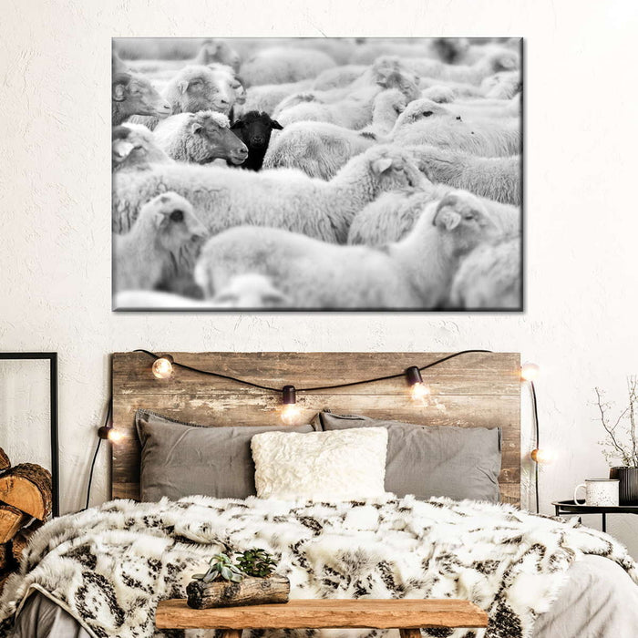 Distinct Black Sheep Wall Art