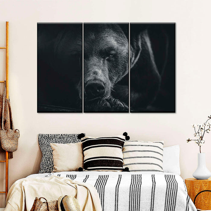 Monochrome Brown Bear Wall Art