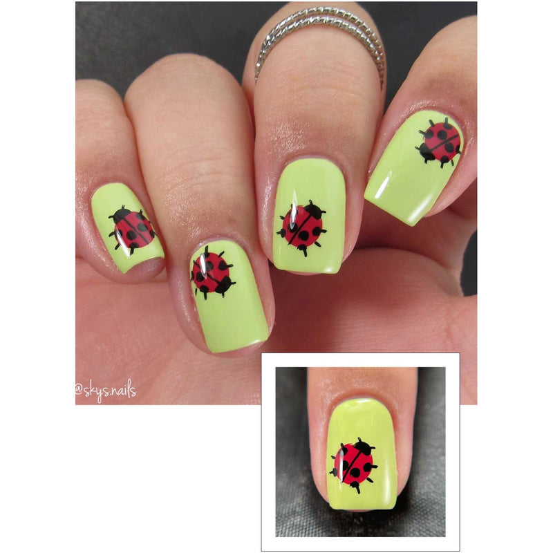 UberChic Beauty Bee-You-Tiful Spring Stamping Plate