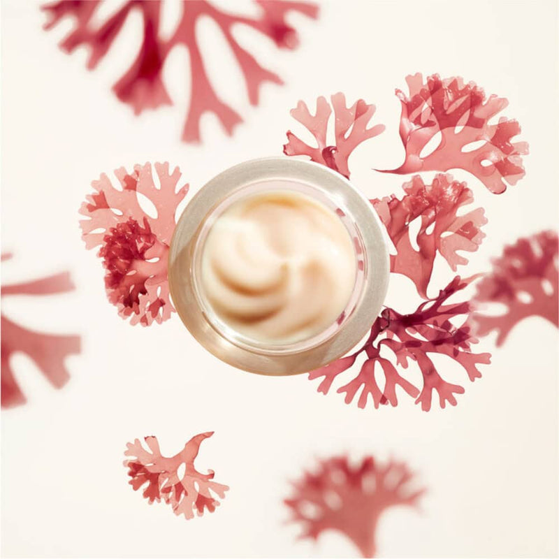 Nava Beauty Shiseido Benefiance Wrinkle Smoothing Cream Seashell 50 mL,75 mL