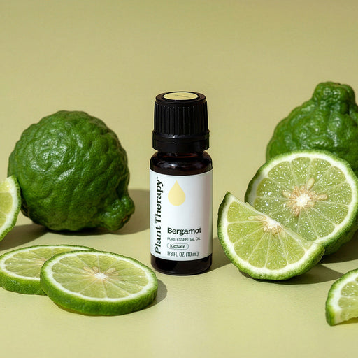 Plant Therapy Bergamot Essential Oil Essential Oil