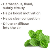 Plant Therapy Bergamot Mint Essential Oil Essential Oil