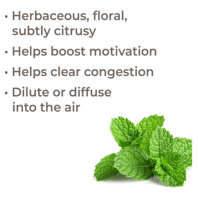 Plant Therapy Bergamot Mint Essential Oil Essential Oil