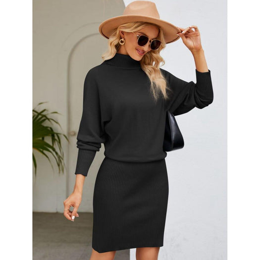 Turtle Neck Long Sleeve Ribbed Sweater Dress