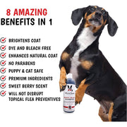 Warren London Magic Black Brightening Dog Shampoo - Professional Size Pet Shampoo & Conditioner