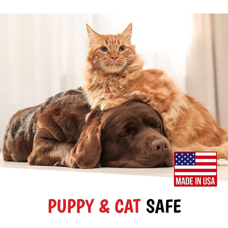 Warren London Magic Black Brightening Dog Shampoo - Professional Size Pet Shampoo & Conditioner