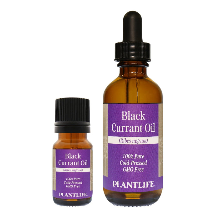 Black Currant Oil