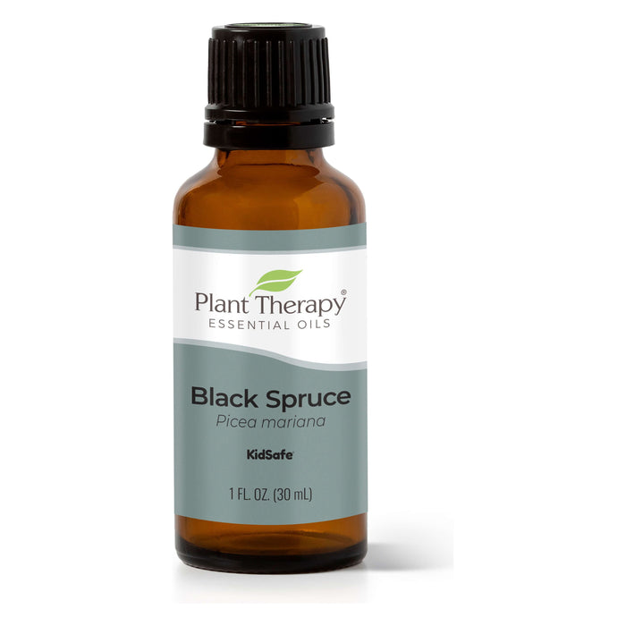 Plant Therapy - Plant Therapy - Black Spruce Essential Oil