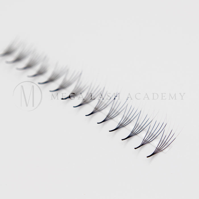 Mega Lash Academy -  Black/White Ombré 6D Rapid Promade Fans - 600 Fans