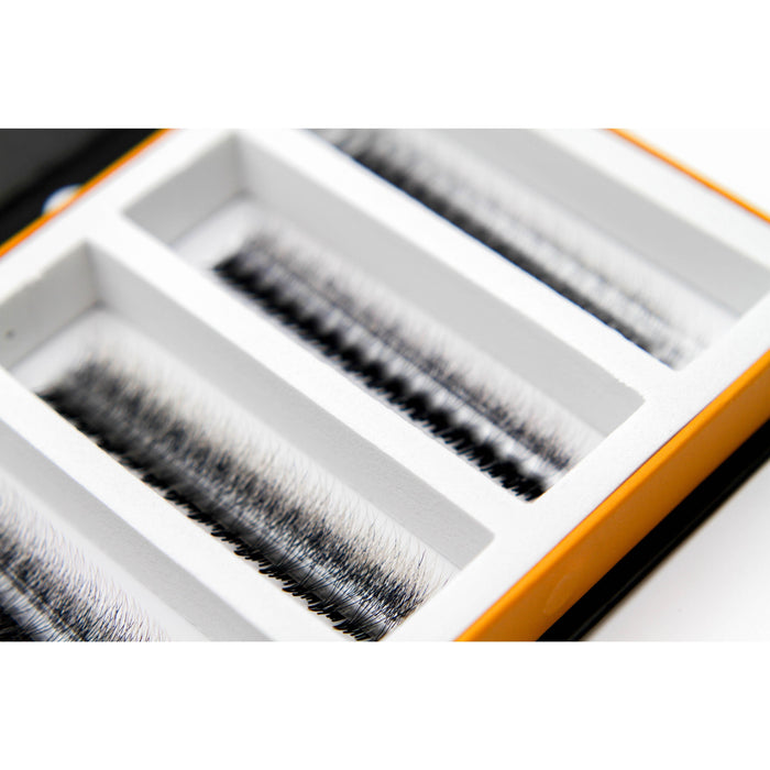 Mega Lash Academy -  Black/White Ombré 6D Rapid Promade Fans - 600 Fans